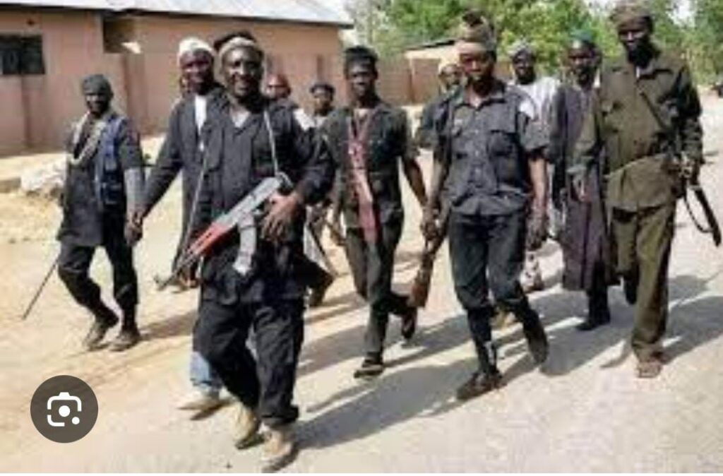 Civilian JTF operative shoots man in Katsina, arrested
