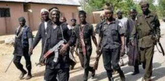 Civilian JTF operative shoots man in Katsina, arrested