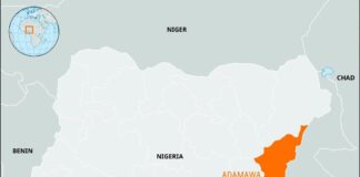 Adamawa: troops arrest suspected ISWAP members in Mubi North operation