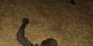 Troops Neutralise Terrorist, Recover Supplies in Borno Ambush Operation