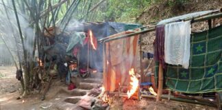 Troops Overrun ‘Mother Valley’ as JTF South East Dismantles IPOB/ESN Enclave in Nkwere