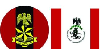 Army troops, NDLEA arrest 28 suspects, recover illicit drugs in Yenagoa raid