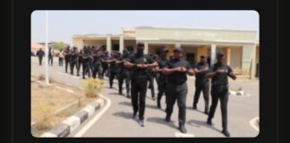 Yobe Deploys 1,886 Trained Forest Guards to Support War Against Boko Haram — Security Adviser