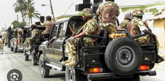 Troops rescue three kidnapped victims, recover rustled cattle in Kaduna