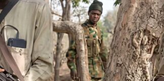 How fake ai-generated narratives are being used to smear Nigeria’s military