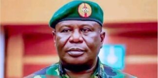 CDS urges Borno, Yobe residents to take ownership of fight against terror, says enemy operating from within