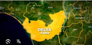 Army arrests soldier over alleged drug trafficking in Delta