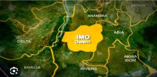 Troops Arrest Three Suspected Cultists in Imo