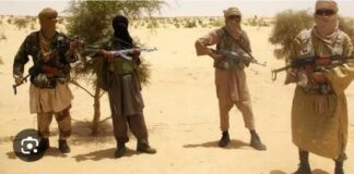 Troops repel Lakurawa attack, capture one terrorist and recover rustled livestock in Kebbi