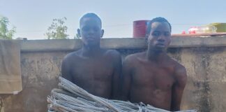 Troops arrest two suspected Boko Haram informants in Borno