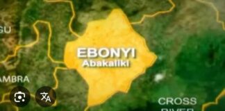 Troops kill hoodlum during attempted disarmament in Ebonyi