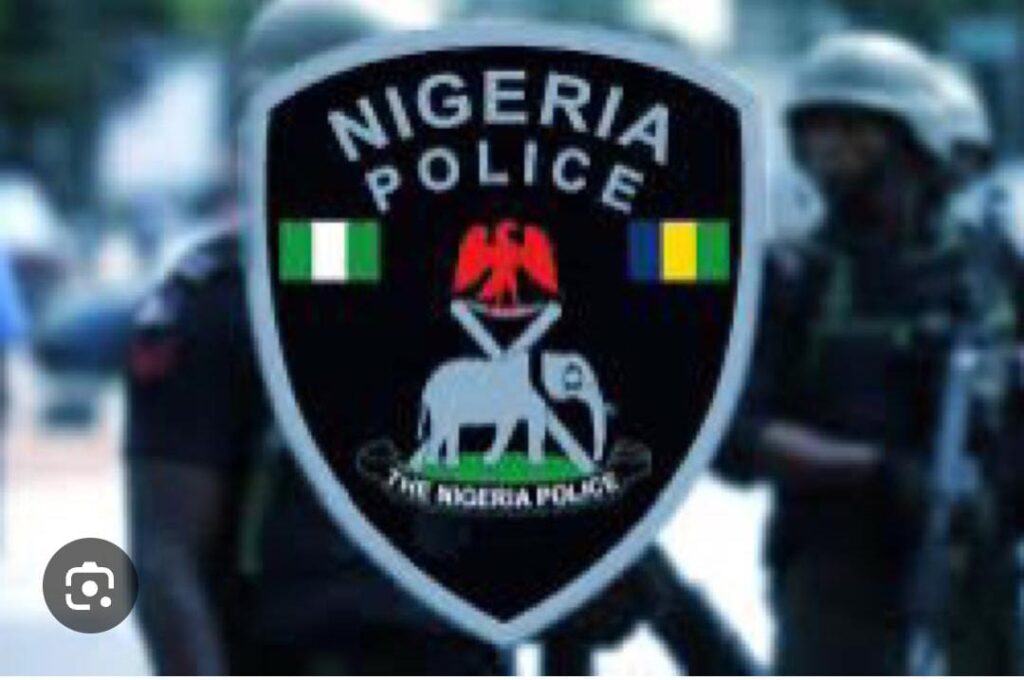 Police Arrest Nine Foreign Nationals in Igbopa Community, Recover Phones, Documents