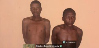 Troops arrest two suspected terrorists in Bauchi