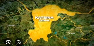 Troops rescue five kidnap victims in Katsina during fighting patrol