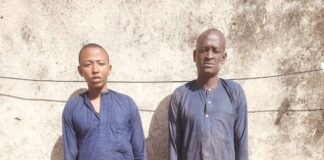 Troops arrest two suspected terrorists’ informants in Damboa axis in Borno