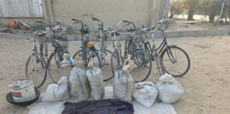 Troops ambush terrorists along Marte–Dikwa road, recover logistics in Borno
