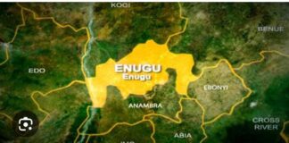Troops engage terrorists during patrol in Enugu forest, one civilian injured