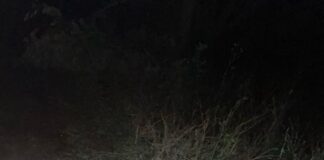 Troops neutralise suspected armed robber in Kaduna, recover weapons