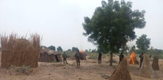 Troops neutralise two terrorists, destroy hideouts in Plateau clearance operations