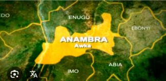 Troops arrest suspect with 75 live cartridges in Awka, Anambra