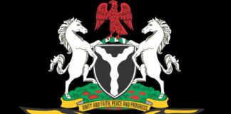 NAF Launches Urgent Probe into Alleged Civilian Casualties in Jilli Airstrike