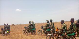 Sustained Military Pressure Weakens Bandit Networks in Bauchi Forests