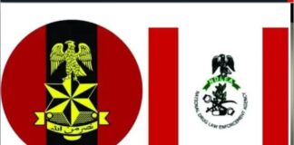 Troops, NDLEA arrest 8 suspects, recover illicit drugs in Bayelsa raid