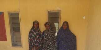 Troops arrest three suspected terrorist collaborators in Borno