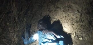 Troops neutralise insurgent during ambush operation in Borno