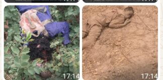 Troops foil ISWAP attack, neutralise two terrorists in Borno