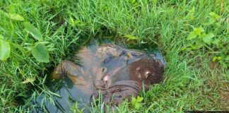 Troops recover body of hunter brutally killed in Plateau community