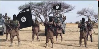 United States-Nigeria Counterterrorism Alliance Deepens as Joint Operation Eliminates Senior ISIS Leader