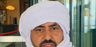 Malian Separatist Group Claims Gains, Alleges Expansion of Operations Across Key Cities