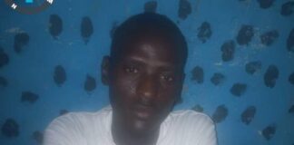 Troops Arrest Suspected Terrorists’ Collaborator in Borno