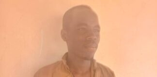 One Boko Haram Member Surrenders to Troops in Borno