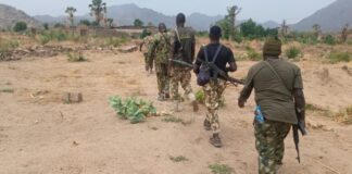 Troops Recover Four RPG Bombs in Mandara Mountains Search Operation