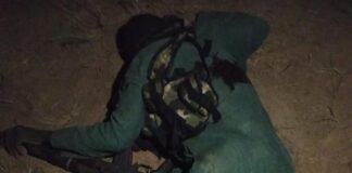 Troops Neutralise Two Terrorists, Recover Weapons in Borno Ambush
