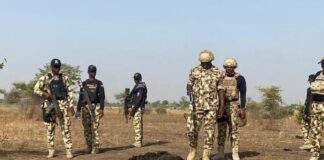 Troops kill scores of terrorists, destroy enclaves in Borno operations