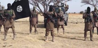 Boko Haram, ISWAP Battle for Dominance in Sambisa Forest” as deadly clashes intensify