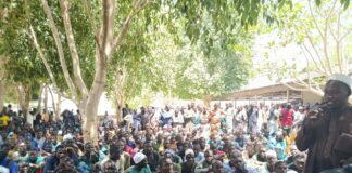 Borno’s Soft Approach Yielding Results in Anti-Terror War, Says Security Adviser