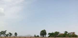 Troops Intercept 148 Cattle, 4 Rams in Alleged Illegal Grazing in Plateau