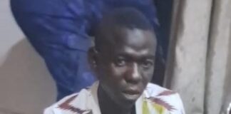 Troops Arrest Suspect with Over 1,300 Empty Ammunition Casings in Borno