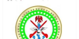 Nigeria, U.S. Joint Strikes Kill 175 ISIS Terrorists, Eliminate Key ISWAP Leaders – DHQ