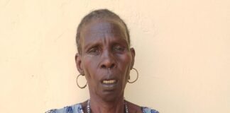 Troops arrest suspected ISWAP collaborator in Borno