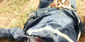 Troops Respond to Isolated Killing of Civilian Guard in Plateau by Militia elements in Mangu