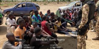 Troops Rescue 92 Kidnap Victims, Recover Vehicles in Borno Operation