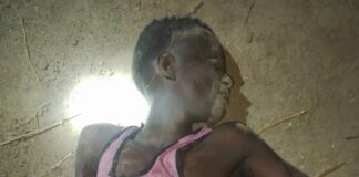Troops Neutralise Suspected ISWAP Spy Along Banki Border Perimeter in Borno