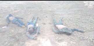 Vigilante group allegedly kills three persons in Niger, framed them up as terrorists, presents weapon after incident
