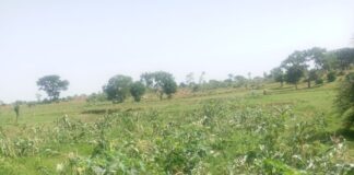 Troops launch manhunt for herders after alleged destruction of farms in Plateau