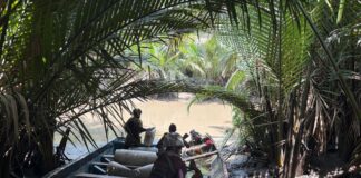 Nigerian Navy Dismantles Militant Stronghold in Cross River, Enforces Maritime Curfew